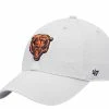 '47 Men's Gray Chicago Bears Clean Up Adjustable Hat 2 '47 Men's Gray Chicago Bears Clean Up Adjustable Hat -Fanatics DSCO1136784411 1927