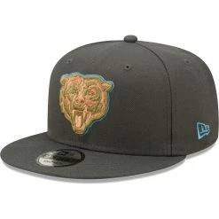 Men's New Era Graphite Chicago Bears Color Pack Multi 9FIFTY Snapback Hat -Fanatics DSCO1153025599 1925 ALT1