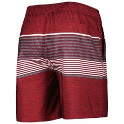 G-III Sports By Carl Banks Men's Scarlet San Francisco 49ers Coastline Volley Swim Shorts 9 G-III Sports By Carl Banks Men's Scarlet San Francisco 49ers Coastline Volley Swim Shorts -Fanatics DSCO1160509293 2946 ALT3